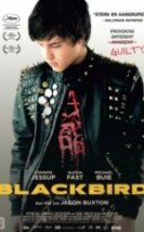 Siyah Kuş Blackbird