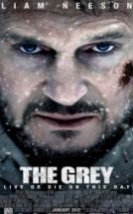 The Grey