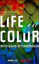 Attenborough’s Life in Colour