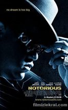 Notorious