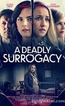 A Deadly Surrogacy
