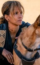 Halle Berry “John Wick” Serisine Geri Dönecek mi?