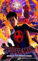 ÖrümcekAdam Örümcek Evrenine Geçiş