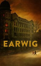 Earwig