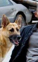 2007’deki çıkışından tam on yıl sonra, Will Smith’in post-apokaliptik korku filmi “I Am Legend”ın devam filmi geliyor!