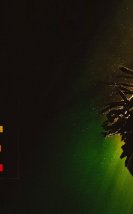 Bob Marley: One Love’dan Yeni Fragman