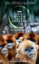 Yeni Dünya,Bir Gezegen