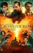 Fantastik Canavarlar Dumbledore’un Sırları