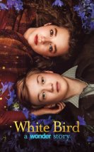 White Bird A Wonder Story