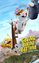 Bikini Kasabası’nı Kurtarmak Sandy Cheeks i