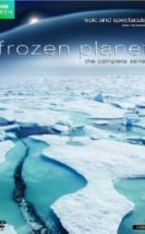 Frozen planet