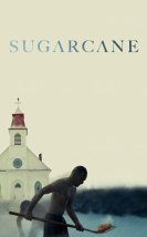 Sugarcane