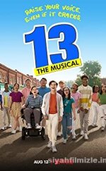 13 Müzikal