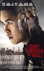 A Shot Through the Wall