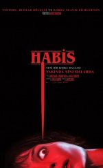 Habis