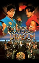 İkiz Ejder Double Dragon