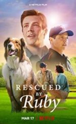 Kurtarma Köpeği Ruby