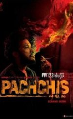 Pachchis