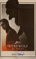 Werewolf byght