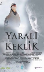 Yaralı Keklik