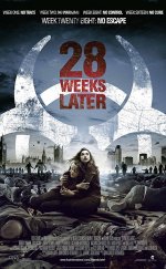 28 Hafta Sonra