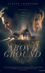 Above Ground