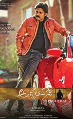 Agnyaathavaasi Hint