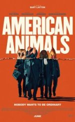 American Animals