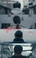 An Elephant Sitting Still