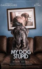 Benim Şapşik Köpeğim