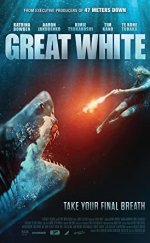 Beyaz Köpekbalığı