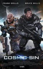 Cosmic Sin