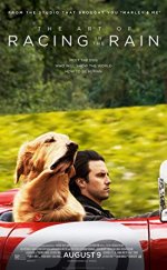 Enzo Yağmurda Yarış Sanatı