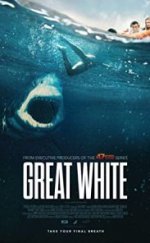Great White
