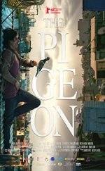 Güvercin Sansürsüz