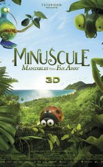 Kayıp Karıncalar Vadisi 2