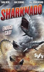 Köpekbalığı İstilası