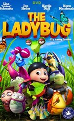 Mucize Uğur Böceği