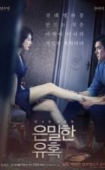 Muhteşem Teklif Perfect Proposal