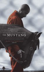 Mustang Yabani At