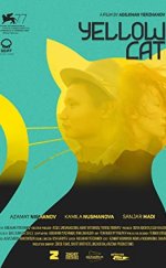 Sarı Kedi (Yellow Cat)