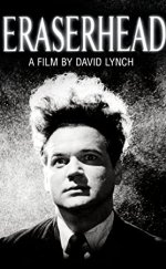 Silgi Kafa (Eraserhead)