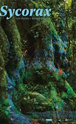 Sycorax