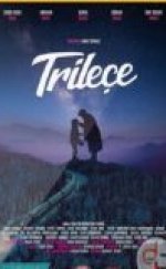 Trileçe