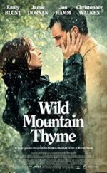 Wild Mountain Thyme