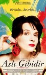 Aslı Gibidir Certified Copy i