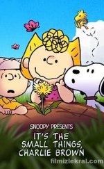 It’s the Small Things Charlie Brown