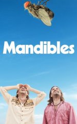 Mandibules