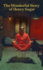 Şeker Henry’nin İnanılmaz Öyküsü