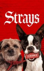 Strays